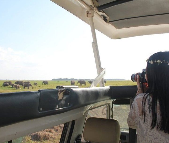 11 days Mount Kenya and masai mara