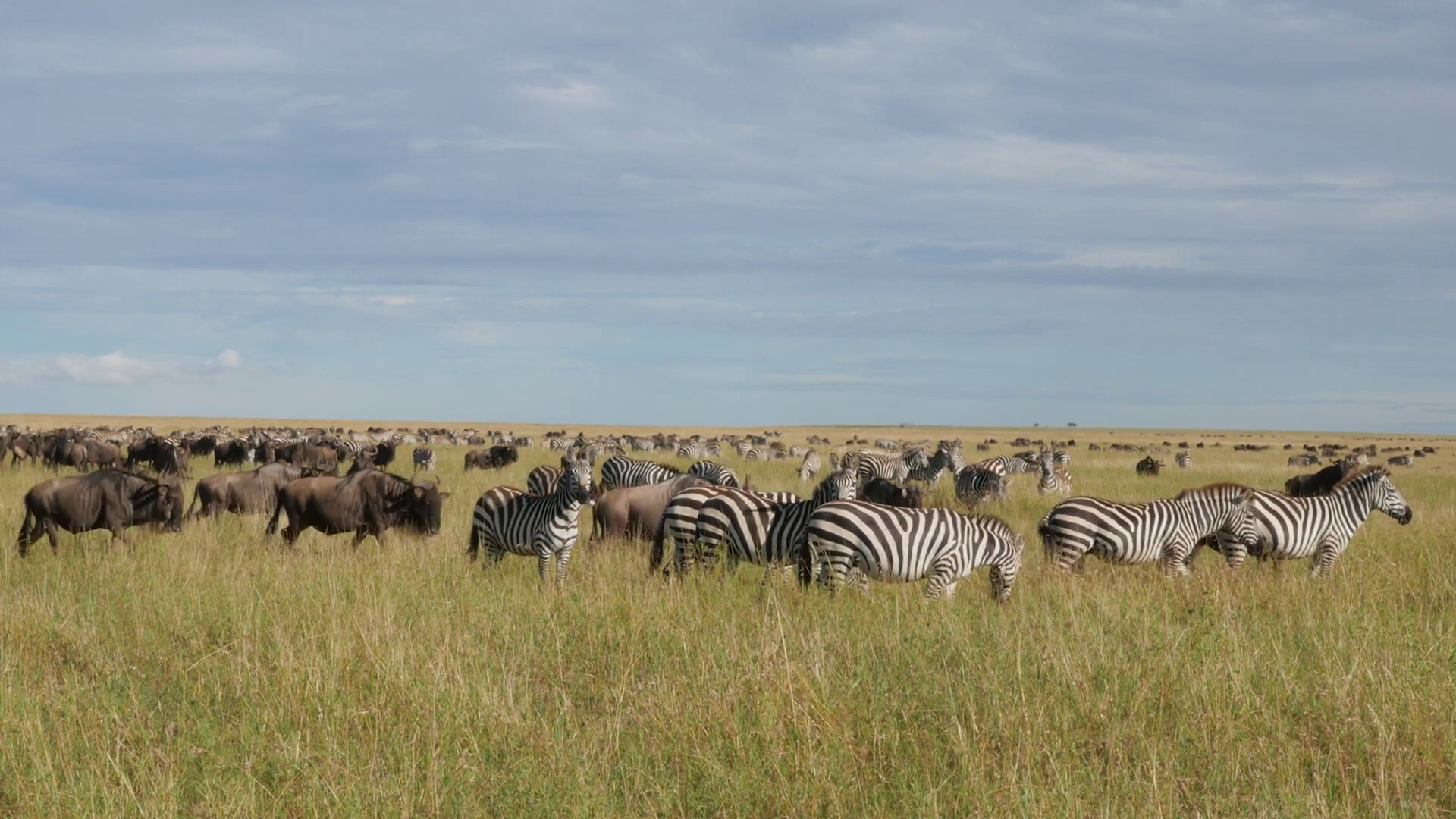 10 days Mount Kenya trek + Wildlife Safari