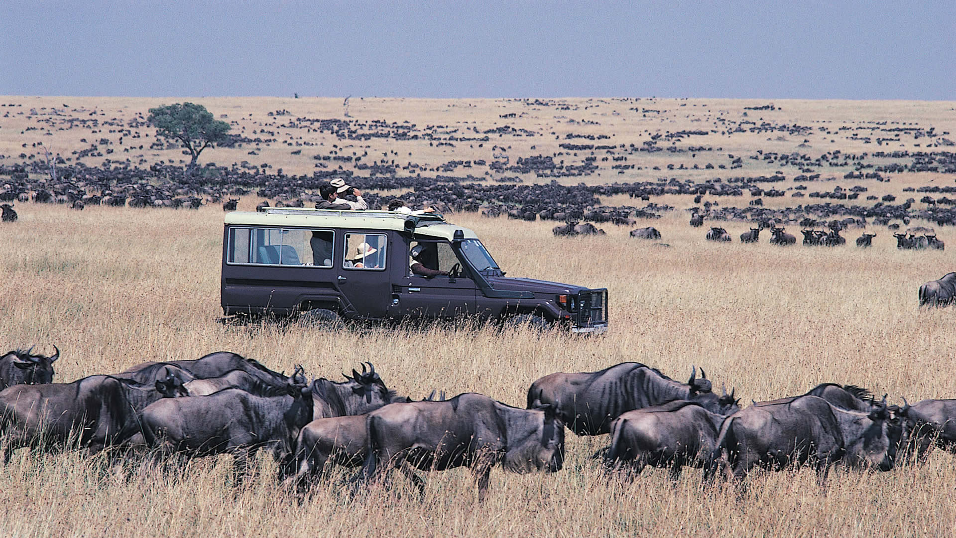 12 days Mount Kenya trek and safari