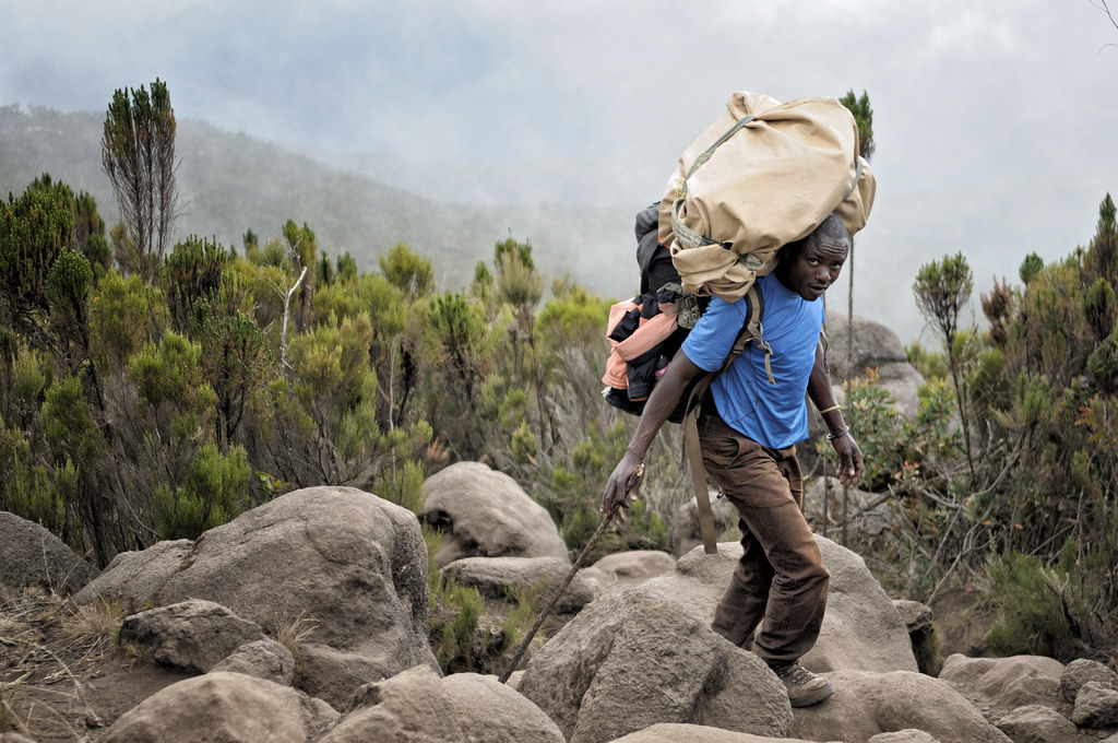 7 Days Shira Route Itinerary - Climbing Kilimanjaro