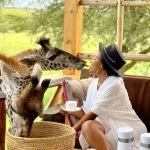 Serval Wildlife Sanctuary Accommodation Villa