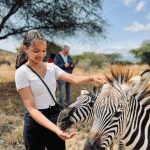 Serval Wildlife Sanctuary Zebra