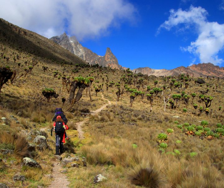 Hiking Mount Kenya Day Trip