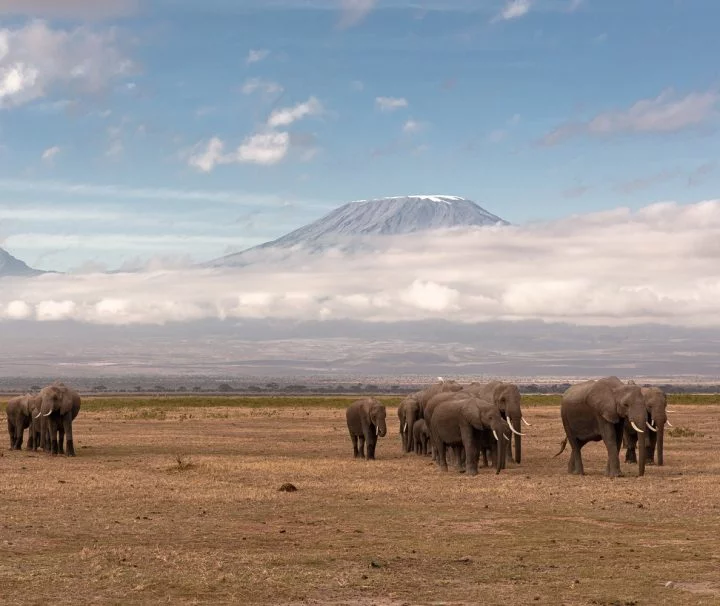 5 days Kenya safari