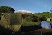 Simba Camp, Kilimanjaro