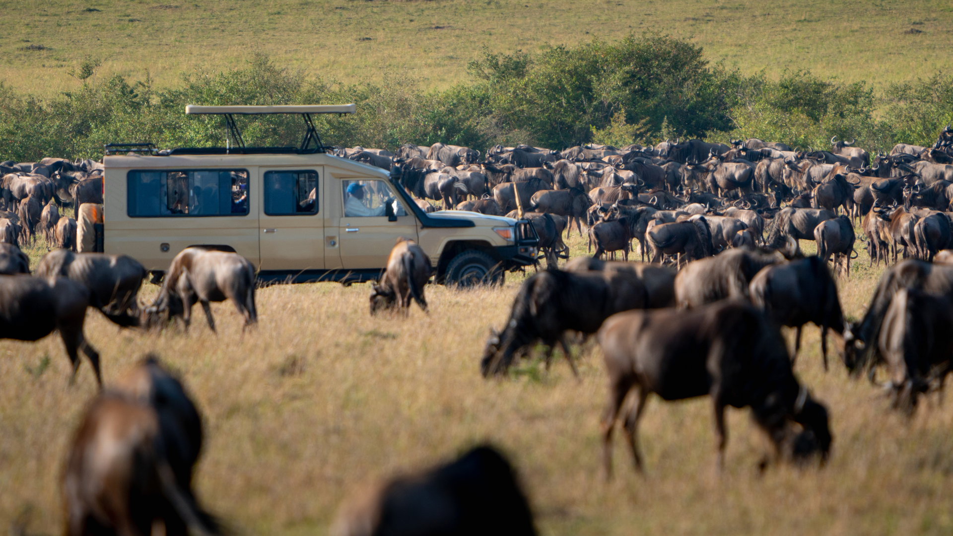 7-Day Great Wildebeest Migration Safari in the Western & Central Serengeti