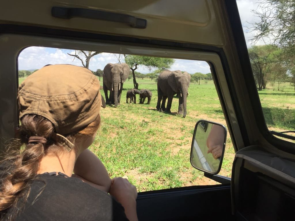 7 days Tanzania safari