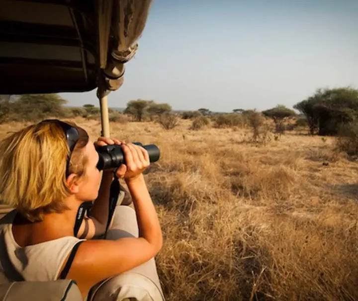 Tanzania Photographic safari