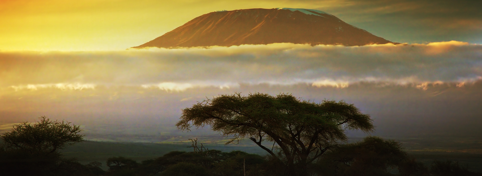 Kilimanjaro Facts