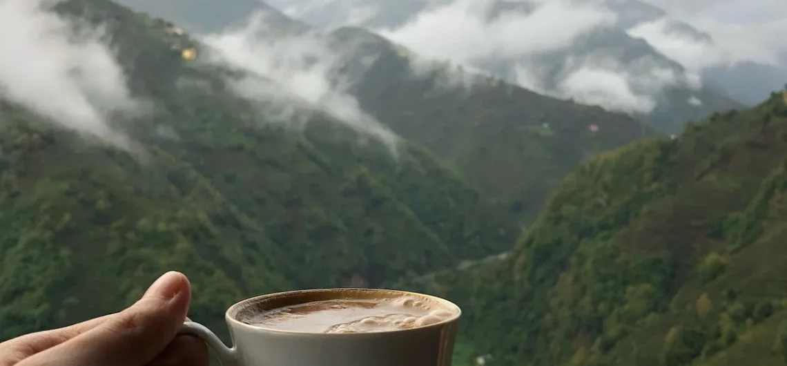 Coffee on high altitudes