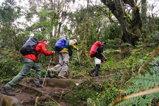 6 days Marangu route Kilimanjaro group joining