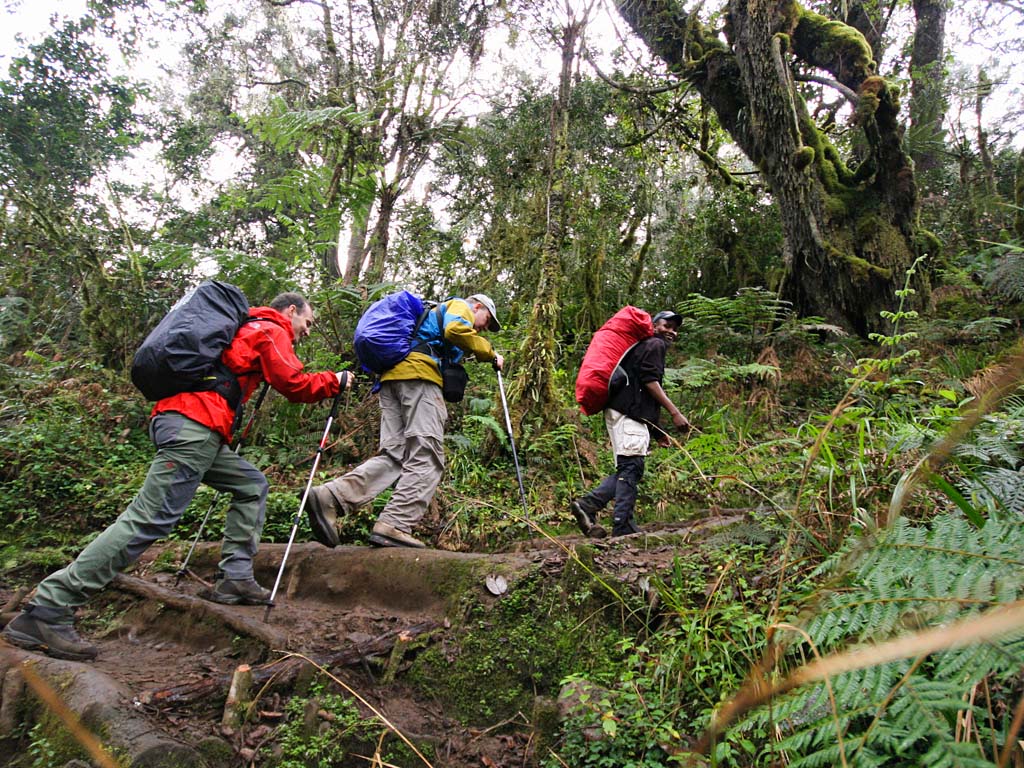 6 days Marangu route Kilimanjaro group joining