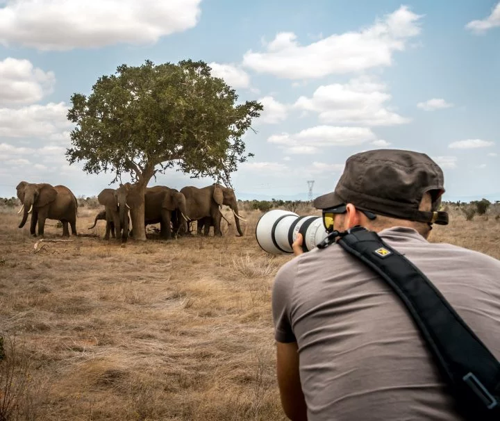 Kenya Photographic safari