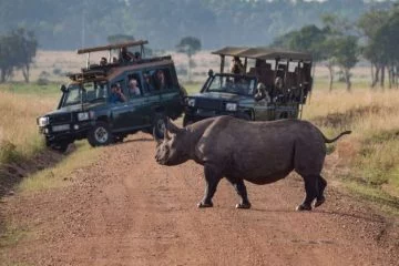 Kenya Tanzania Safari 10 days