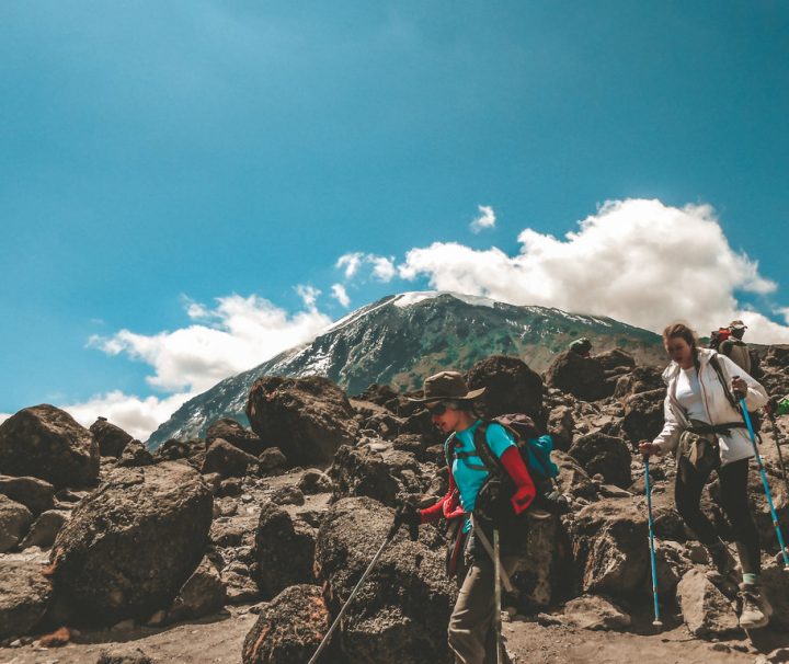 Rongai Route Kilimanjaro group joining trek