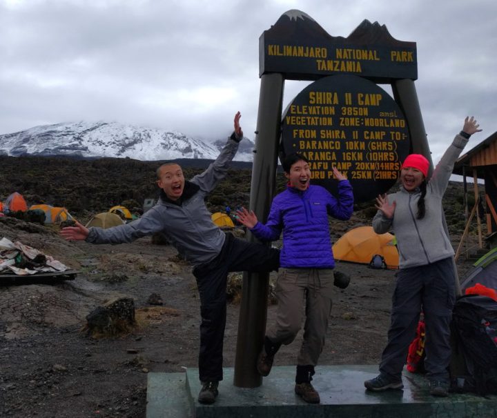 8 days Lemosho Route Kilimanjaro Group Joining climb
