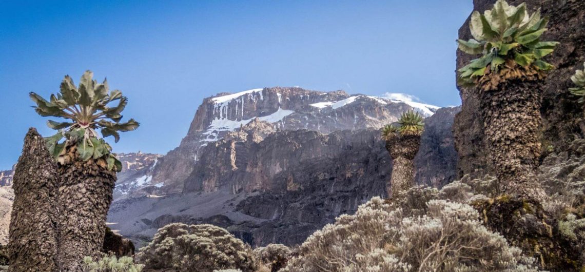 Lemosho, most beautiful route on Kilimanjaro