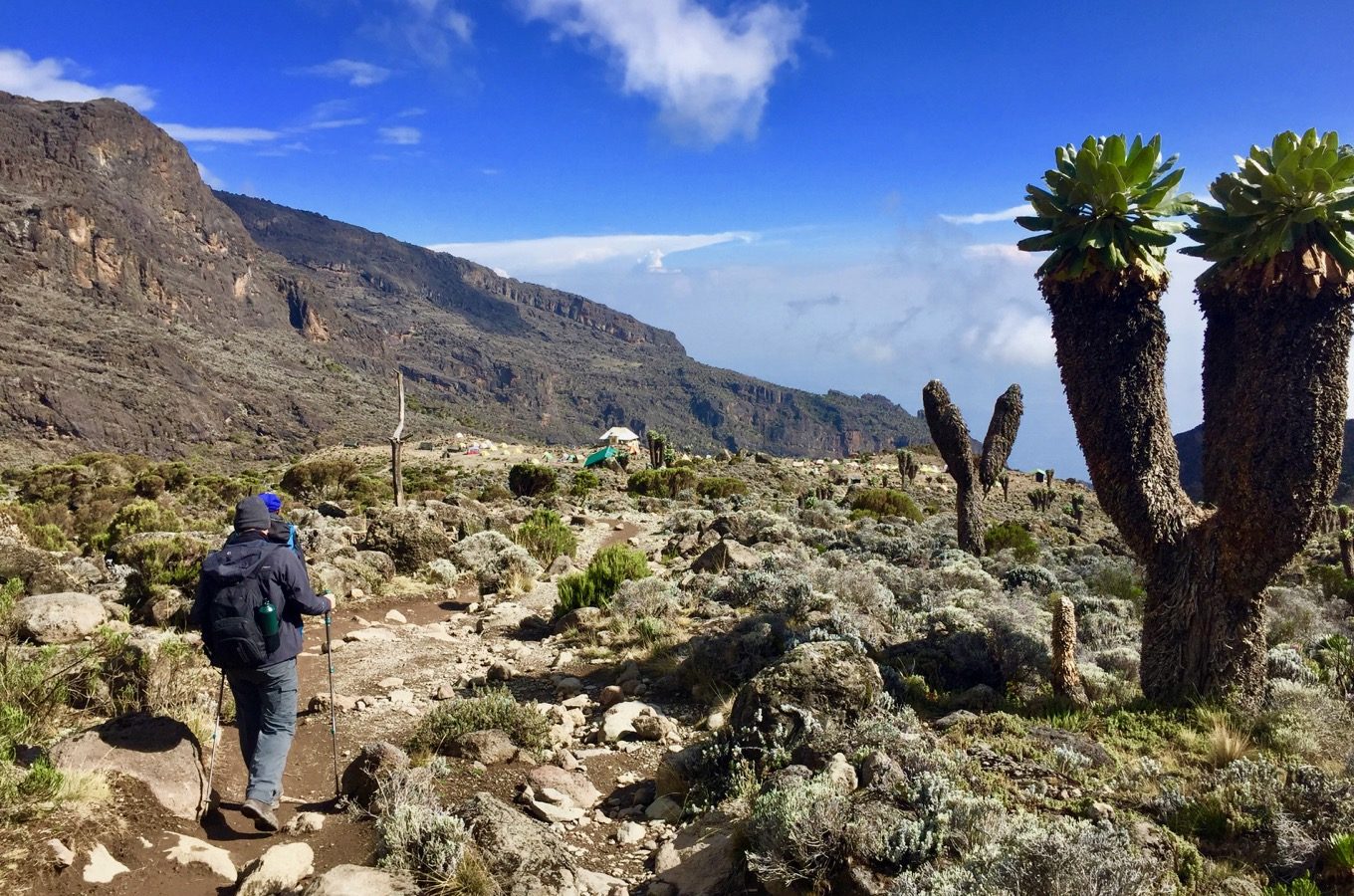 How to trek machame Route