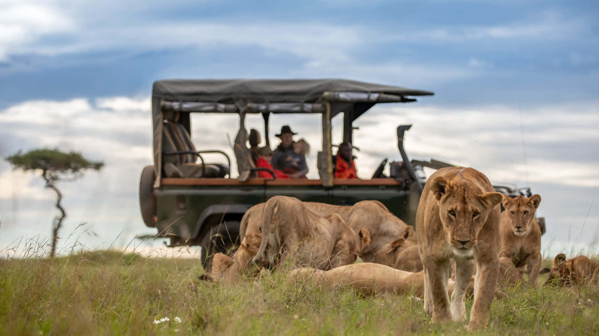 4 Days Masai Mara Safari from Nairobi