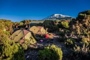 Millenium Camp Kilimanjaro