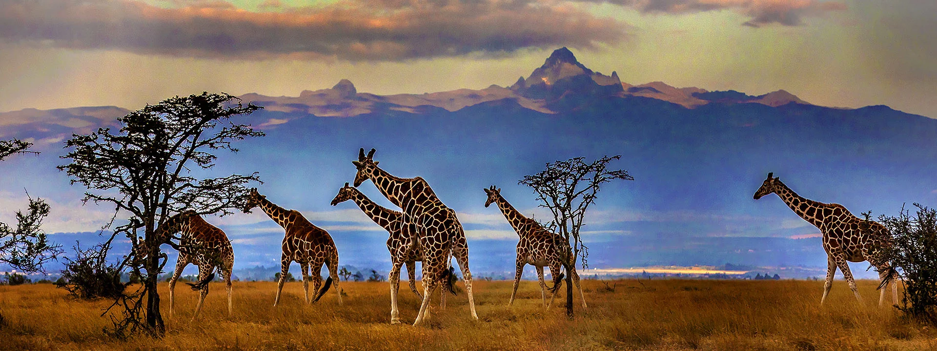 Mount Kenya Trek & Wildlife Safari Combined