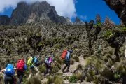 Mount Kenya Group Tours