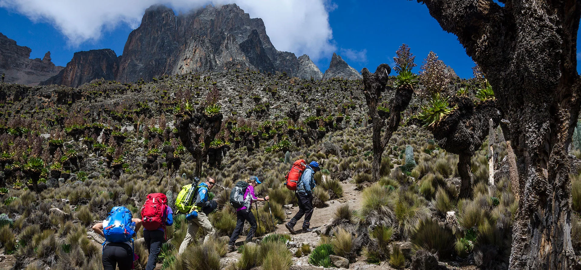 Mount Kenya Group Joining Tours