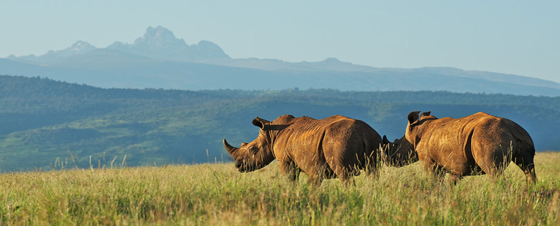 Mount Kenya National Park & Mount Kenya