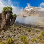 Mount Kilimanjaro climbs