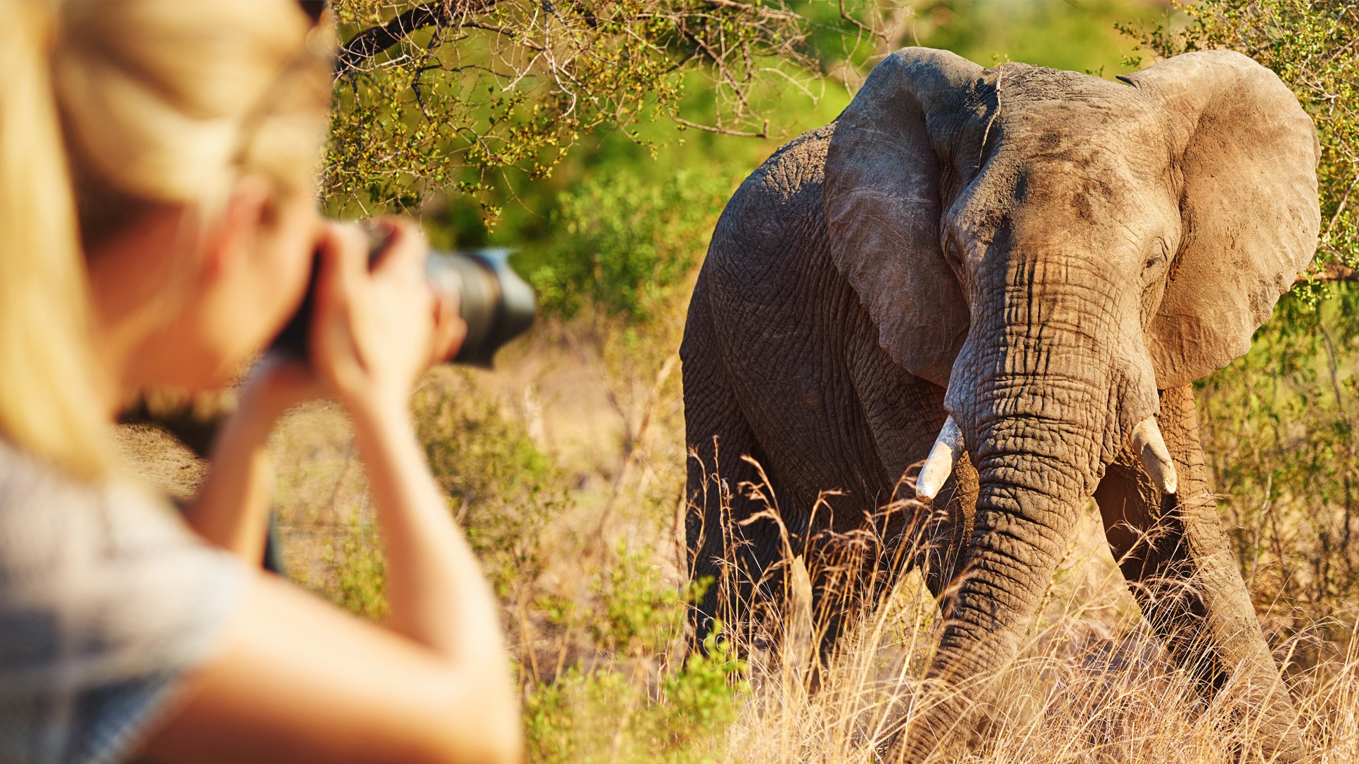12-Day Tanzania Photography Safari