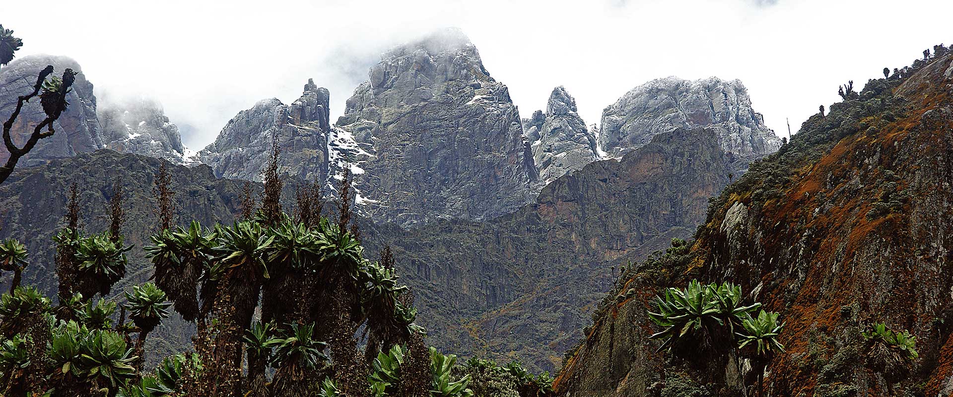 Rwenzori Mountains Trekking