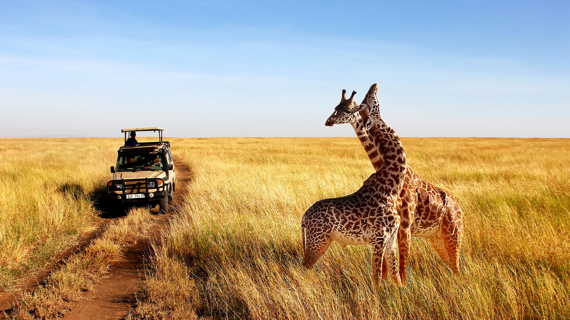 5 Days Tanzania Safari