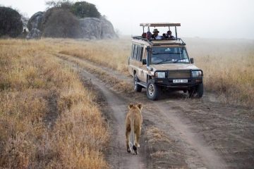 3 days Serengeti Safari