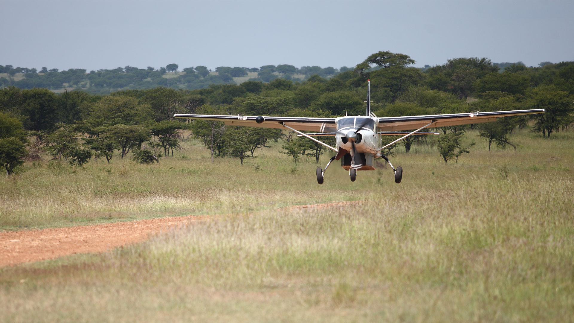 8 day Fly-in Southern Tanzania Safari to Nyerere (Selous)  & Ruaha