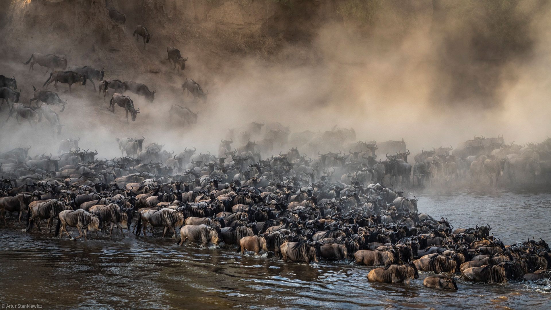 9 Days Wildebeest Migration Crossing, August to October