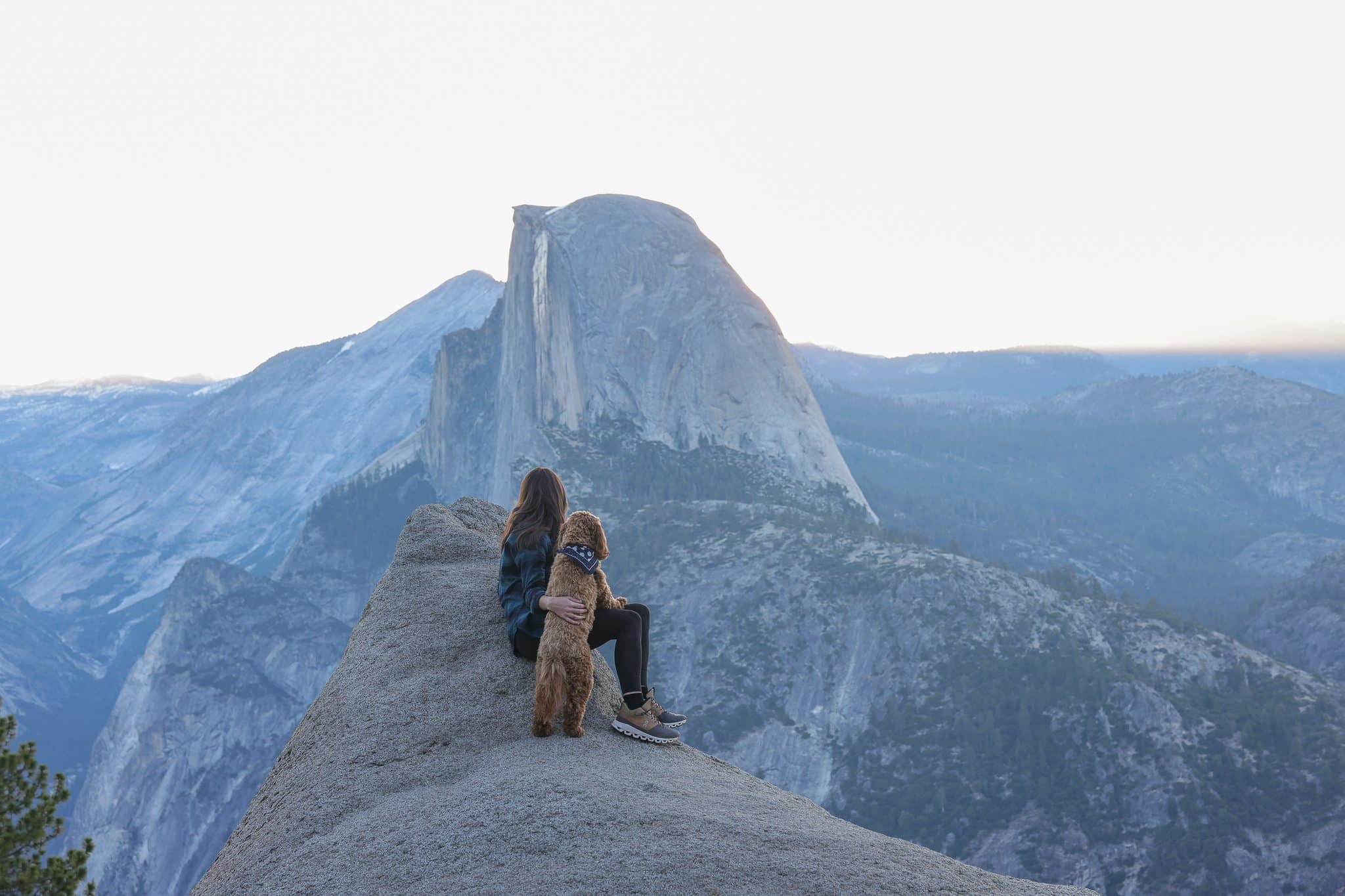 Yosemite National Park hike with a dog